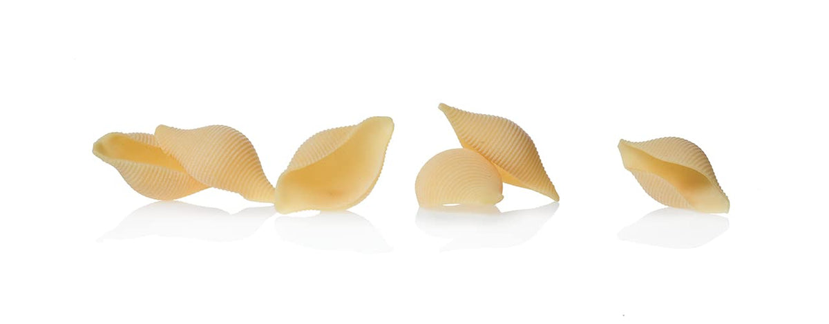Garofalo Conchiglioni Pasta - 1000g (Pack of 2) | Made with Durum Wheat Semolina | Bronze Die Cut 3