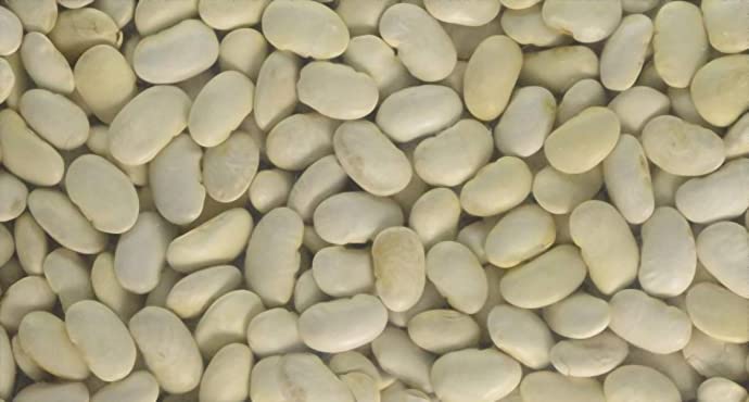 Wholefood Earth Organic Butter Beans - 1kg | High Fibre | Vegan 4