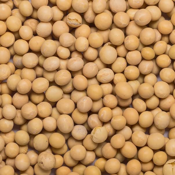Wholefood Earth Organic Soya Beans - High Protein | High Fibre | 500g 4