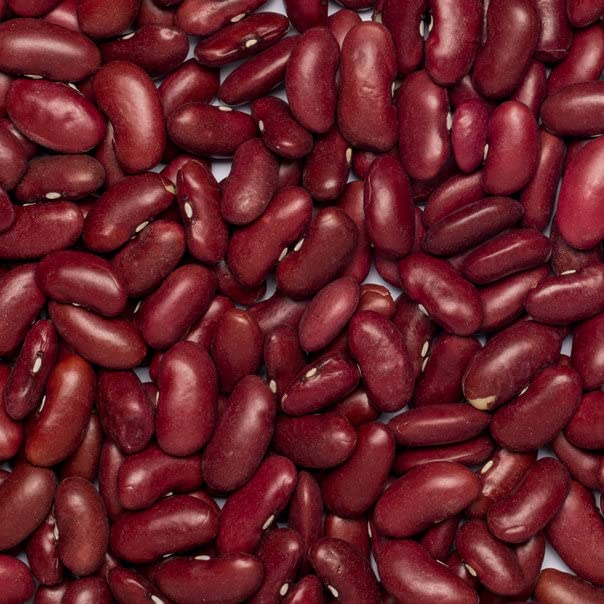 Wholefood Earth Organic Red Kidney Beans - 500g Raw | Vegan | GMO Free 4