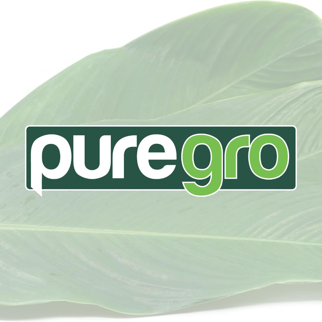 Puregro Plantain Chips with Chilli - Spicy Snack Multipack | 24 x 60g 7