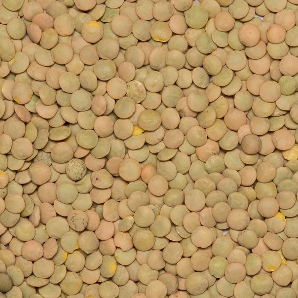Wholefood Earth Green Lentils - High Fibre, Natural, GMO-Free | 1 kg 4