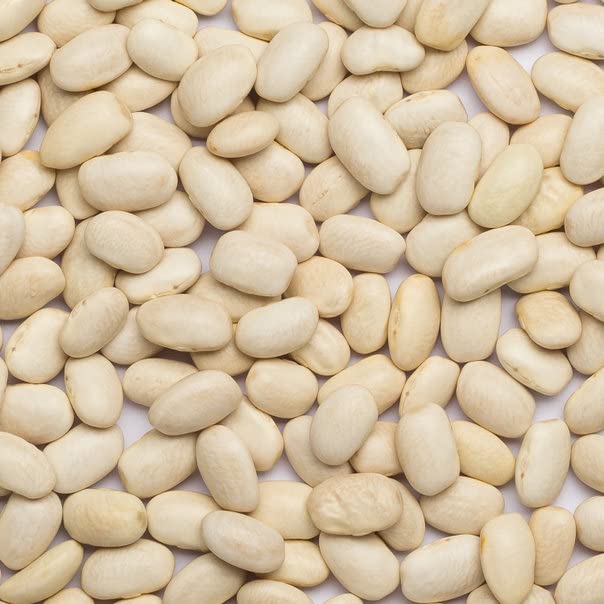 Wholefood Earth Haricot Beans - 500g | Non-GMO | Vegan | High Fibre 4