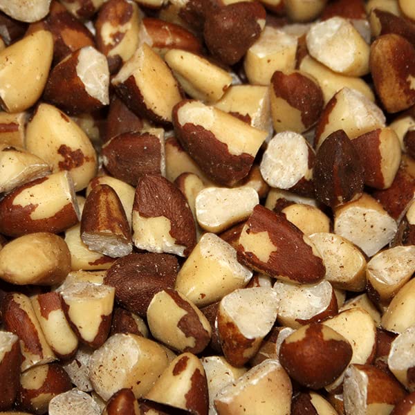 Wholefood Earth Organic Broken Brazil Nuts - Raw, GMO Free, Vegan | 500g 4