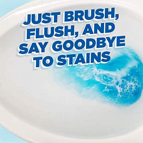 Duck Fresh Brush Toilet Cleaning System - Hygienic Flushable Cleaning Heads | 2 Count Pack 6