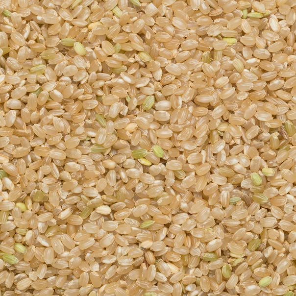 Wholefood Earth Organic Short Grain Brown Rice - 500g | High Fibre | Gluten-Free 4