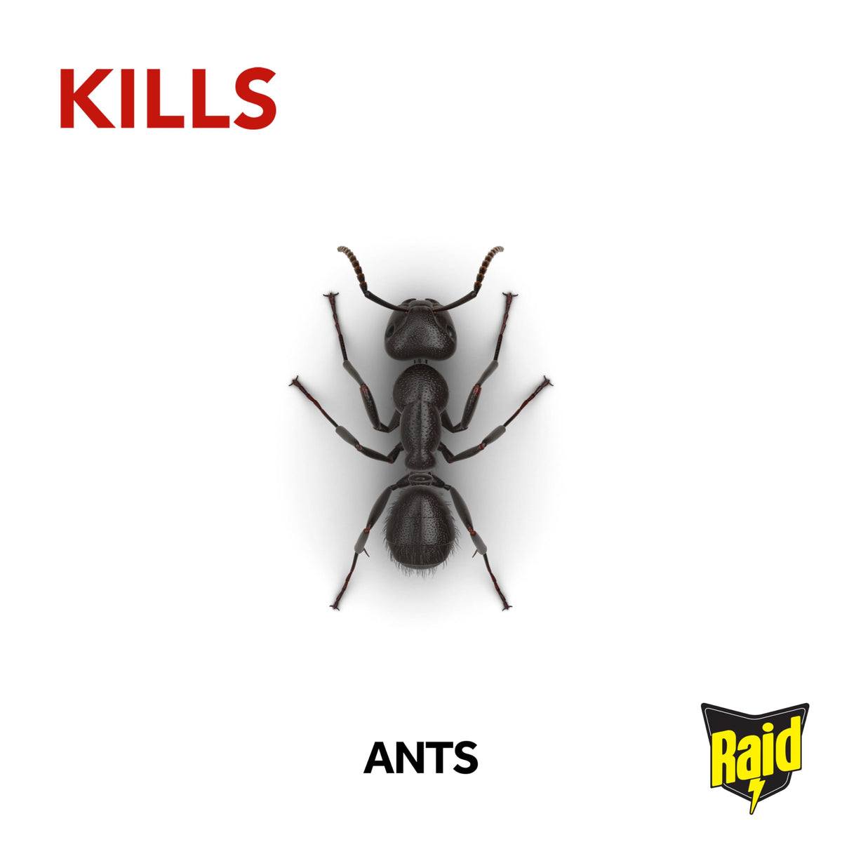 Raid Ant Bait - Kills Ants & Eliminates Colonies | Indoor/Outdoor Use | 10ml 4