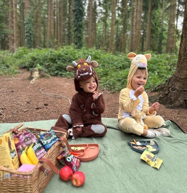 Organix Gruffalo Purple Prickles Blackcurrant Fruit Bars - 1 of Your Little One's 5 a Day | 6 x 17g Bars | Organic 4