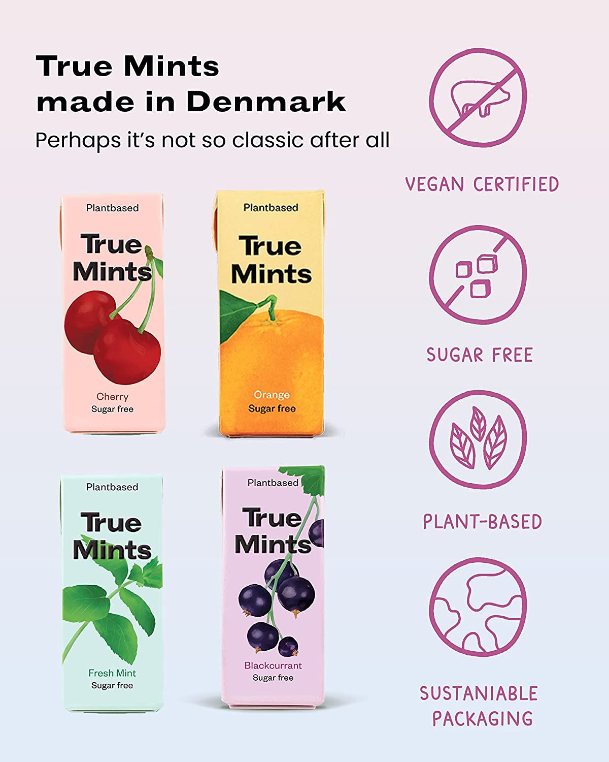 True Gum Mixed Flavours Mints - Sugar Free, Xylitol, Vegan | 12-Pack 7