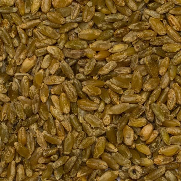 Wholefood Earth Cracked Roasted Wheat Grain (Freekeh) - 500g | GMO Free | High Fiber & Protein 4