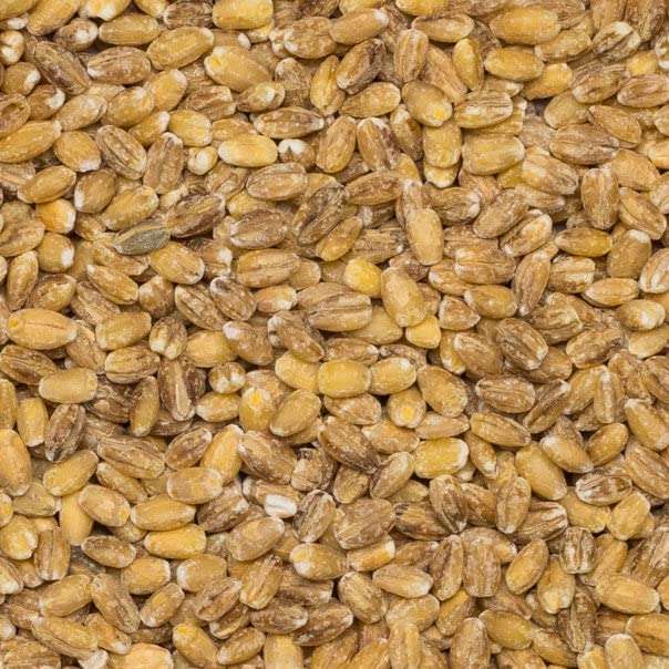 Wholefood Earth Organic Dried Pearl Barley - 1kg Bag | High Fibre | Vegan 4