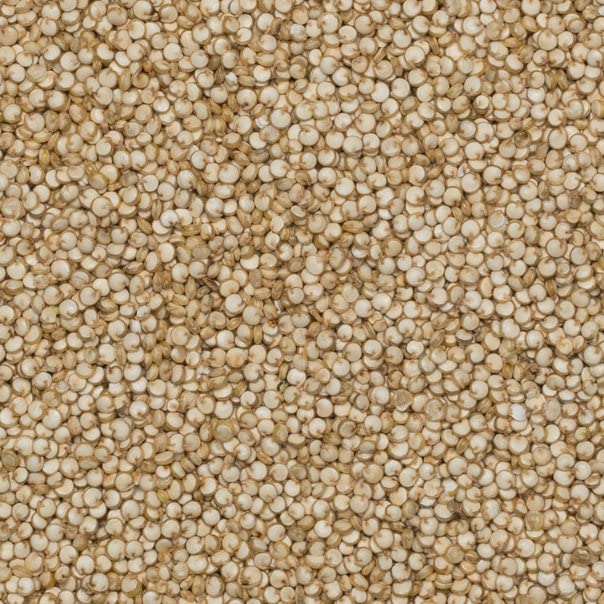 Wholefood Earth Organic Quinoa Grain - 250g | Vegan | GMO Free 4