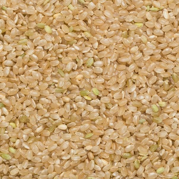 Wholefood Earth Organic Short Grain Brown Rice - 1kg Bag | High Fibre | Gluten-Free 4