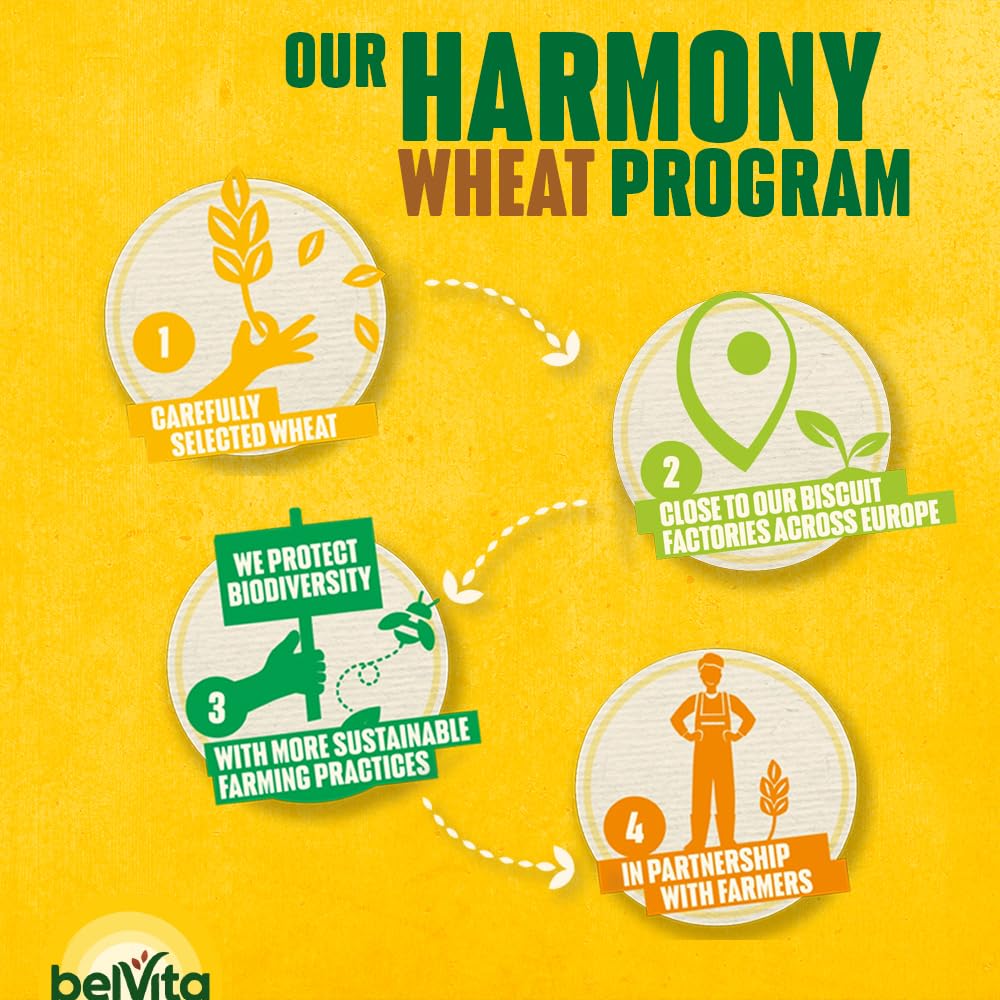belVita Soft Bakes Golden Oats - 5 Wholegrains, Sustained Energy | 6 x 250g 5