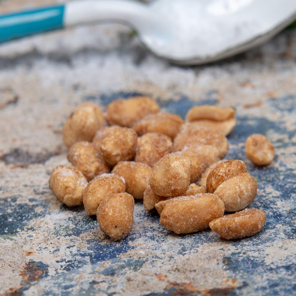 Mr Filbert's Salt Crust Peanuts - Hot Air Roasted, Sea Salted | 20 x 40g 4