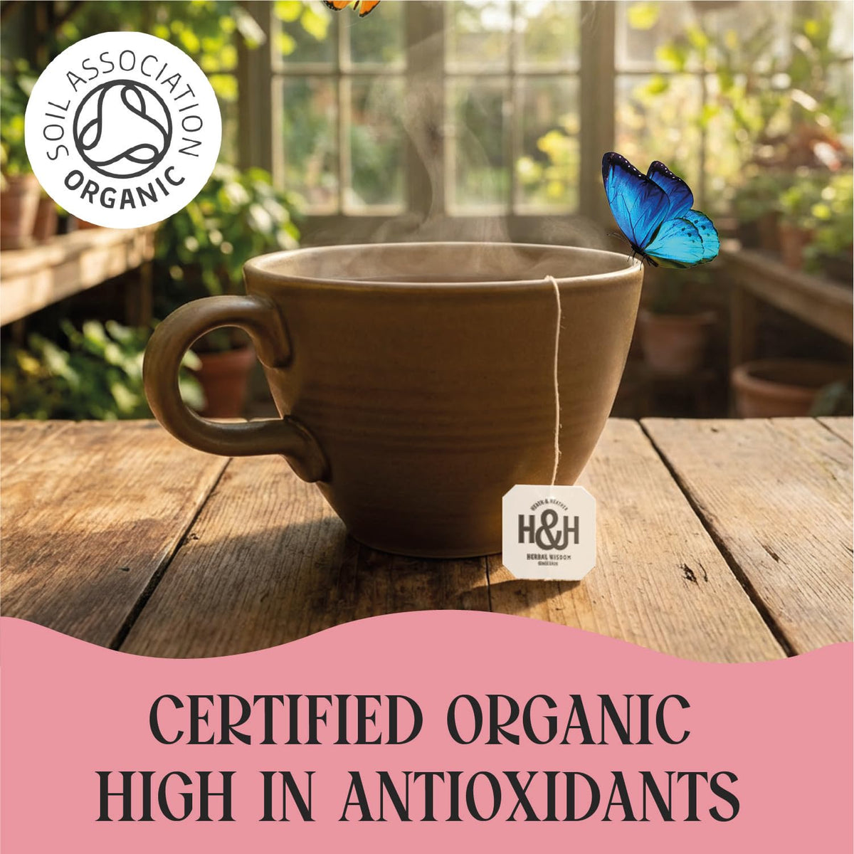 Heath & Heather Organic Morning Time Herbal Tea - Hibiscus, Spearmint & Guarana | 20 Count Teabags | Natural Energy 5