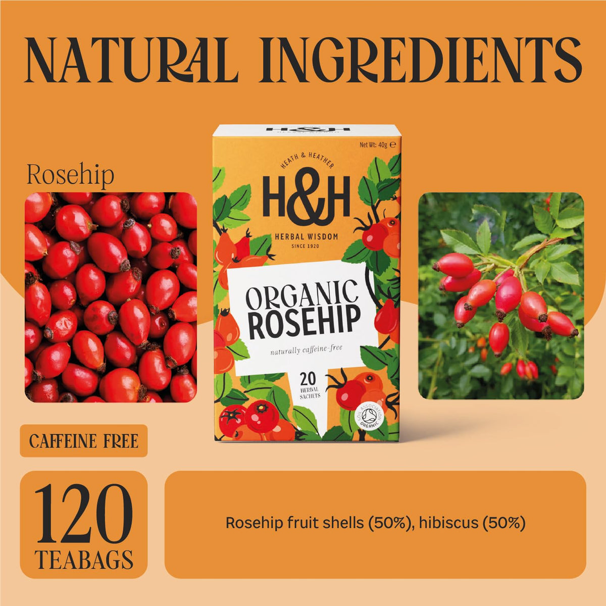 Heath & Heather Organic Rosehip & Hibiscus Herbal Tea - Immune Support | 120 Bags | Caffeine-Free