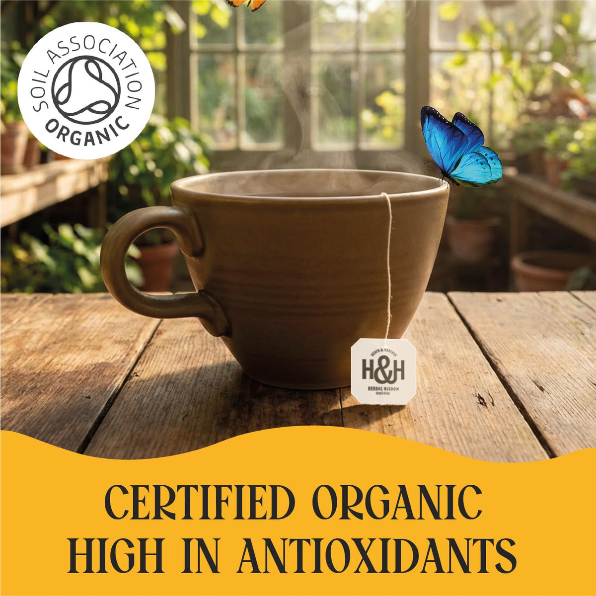 Heath & Heather Organic Camomile with Manuka Honey Herbal Tea - Promotes Relaxation | 20 Teabags | 40g 5