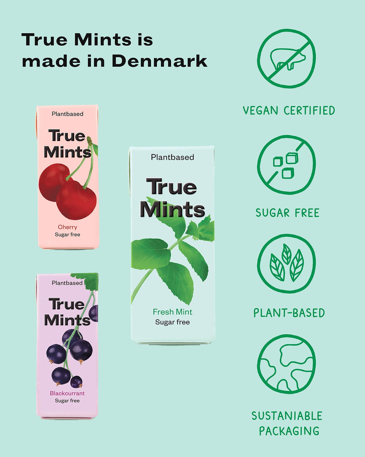 True Gum Sugar Free Mints - Xylitol Mint Flavour Pastilles | 12-Pack 5