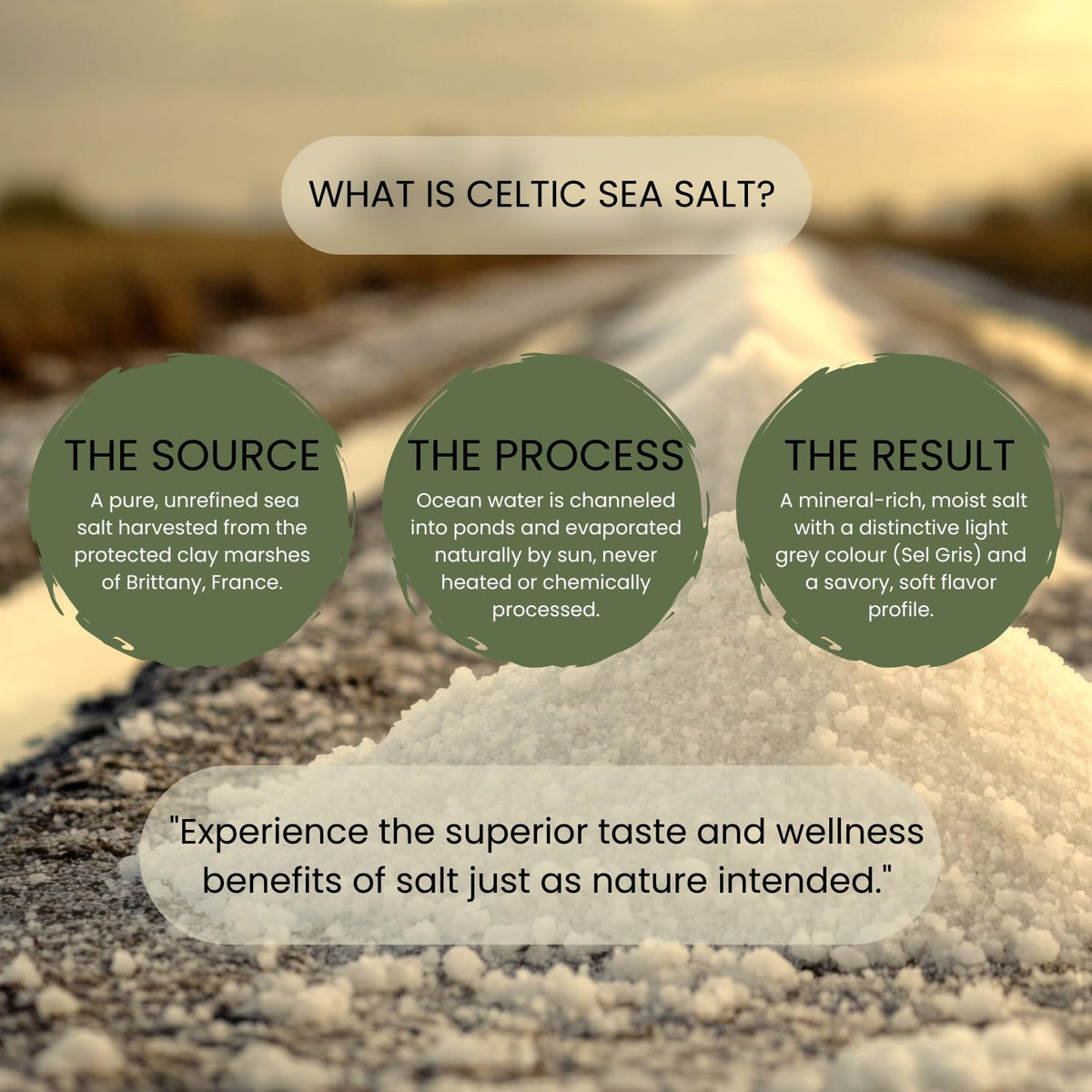 Minton & Donello Fine Celtic Sea Salt - Unrefined, Rich in Minerals | 500g 4
