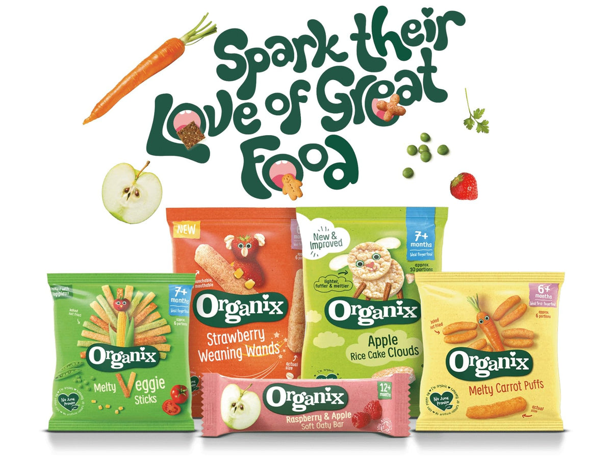 Organix Gruffalo Purple Prickles Blackcurrant Fruit Bars - 1 of Your Little One's 5 a Day | 6 x 17g Bars | Organic 6