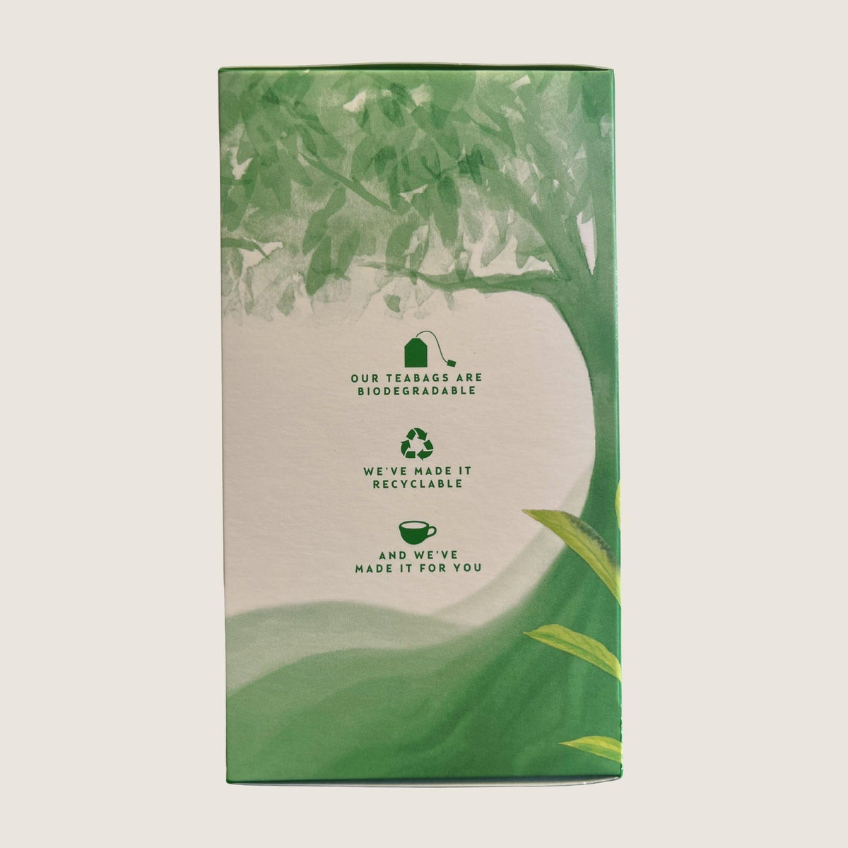 Thompson's Green & Lemon Fruit & Herbal Tea Blend - 100 Teabags 2
