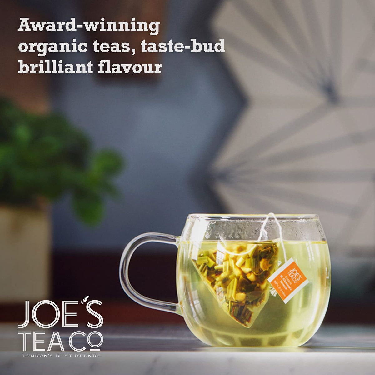 Joe's Tea Co. Proper Peppermint Organic Herbal Tea Bags - Caffeine-Free, Promotes Relaxation (3x15 Count) 6
