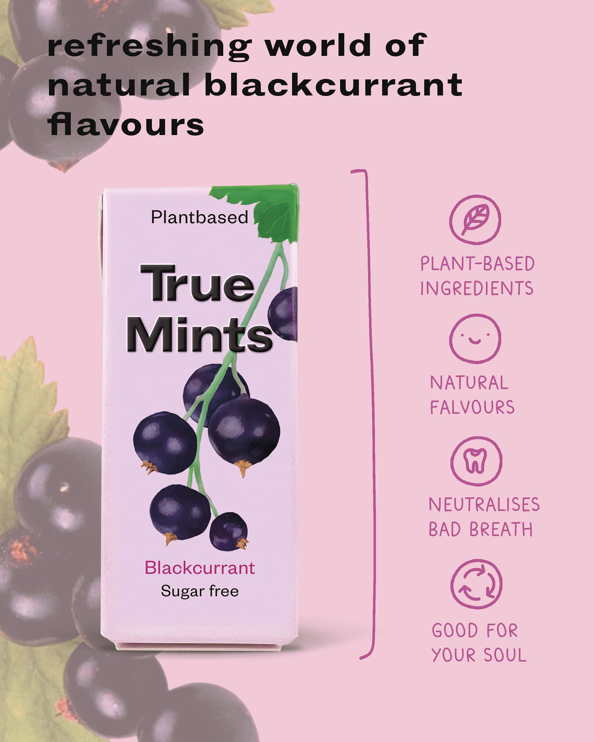 True Gum Blackcurrant Mints - Sugar Free, Xylitol Sweetened | 12-Pack 4