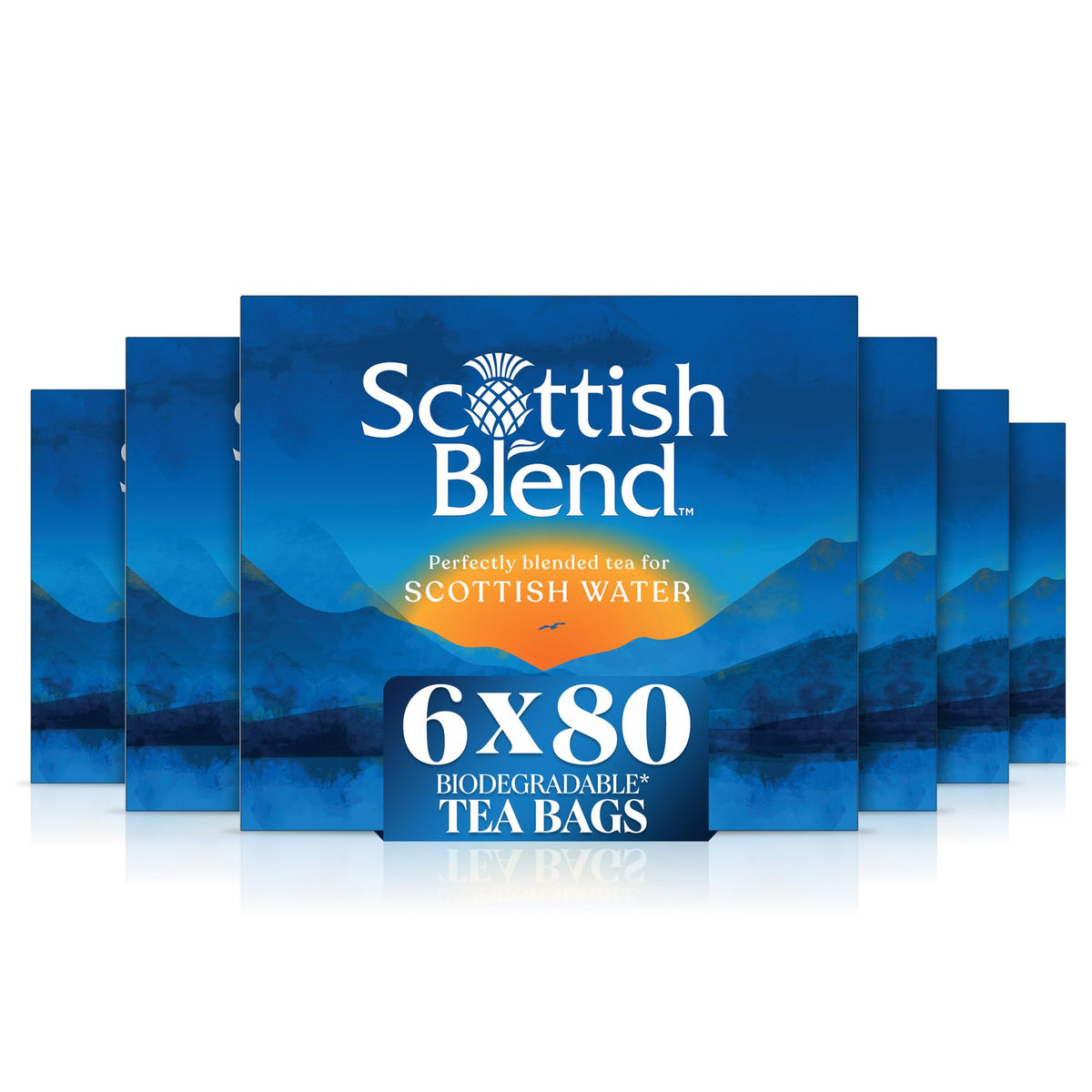Pukka Herbs Scottish Blend Black Tea Bags - Smooth & Fresh Brew | 6 Count 1