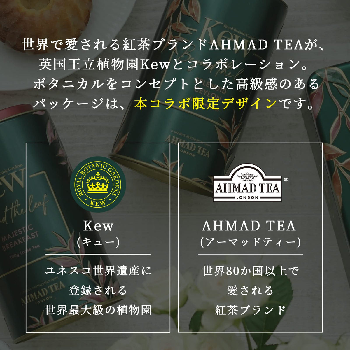 Ahmad Tea Selection Caddy - 40 Teabags | Black Tea Collection | Kew Gardens Collaboration 3