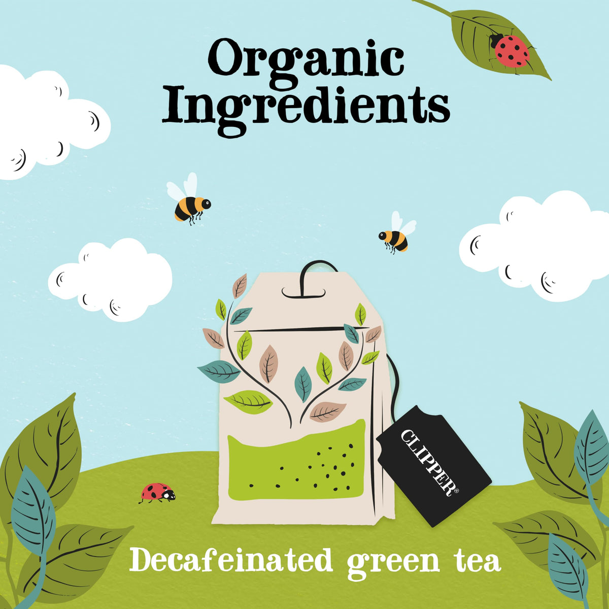 Clipper Organic Decaf Green Tea Bags - 40 Count | Fairtrade | Plastic-Free 3