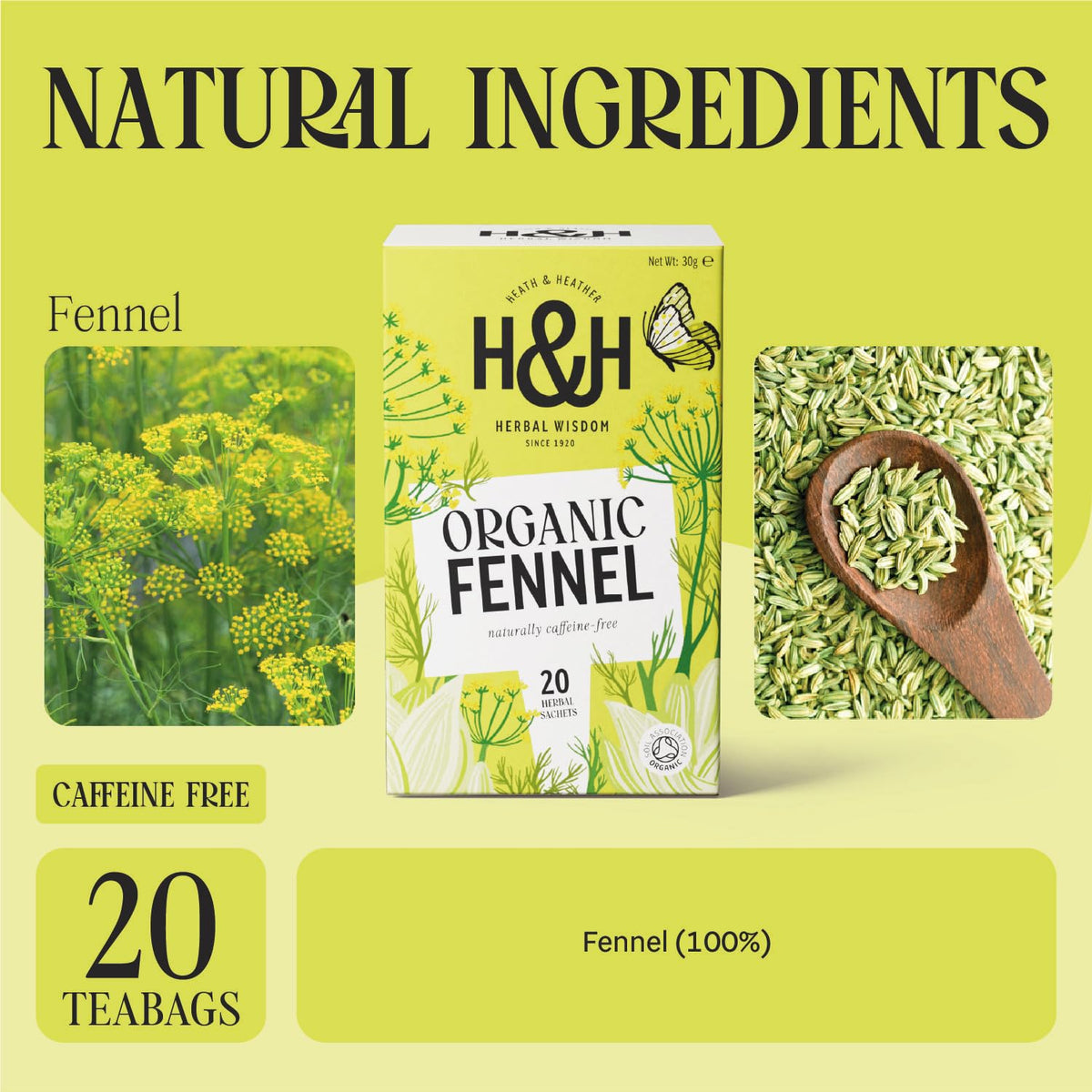 Heath & Heather Organic Fennel Tea - Digestive Infusion, 20 Count