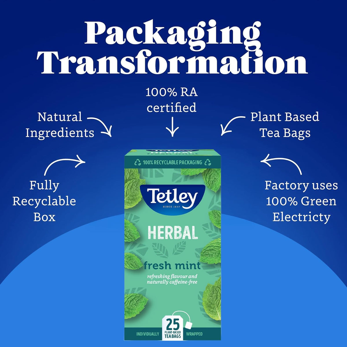 Tetley Fresh Mint Herbal Tea - Refreshing Peppermint & Spearmint Blend, Naturally Caffeine-Free, 25 Teabags (Pack of 2) 4