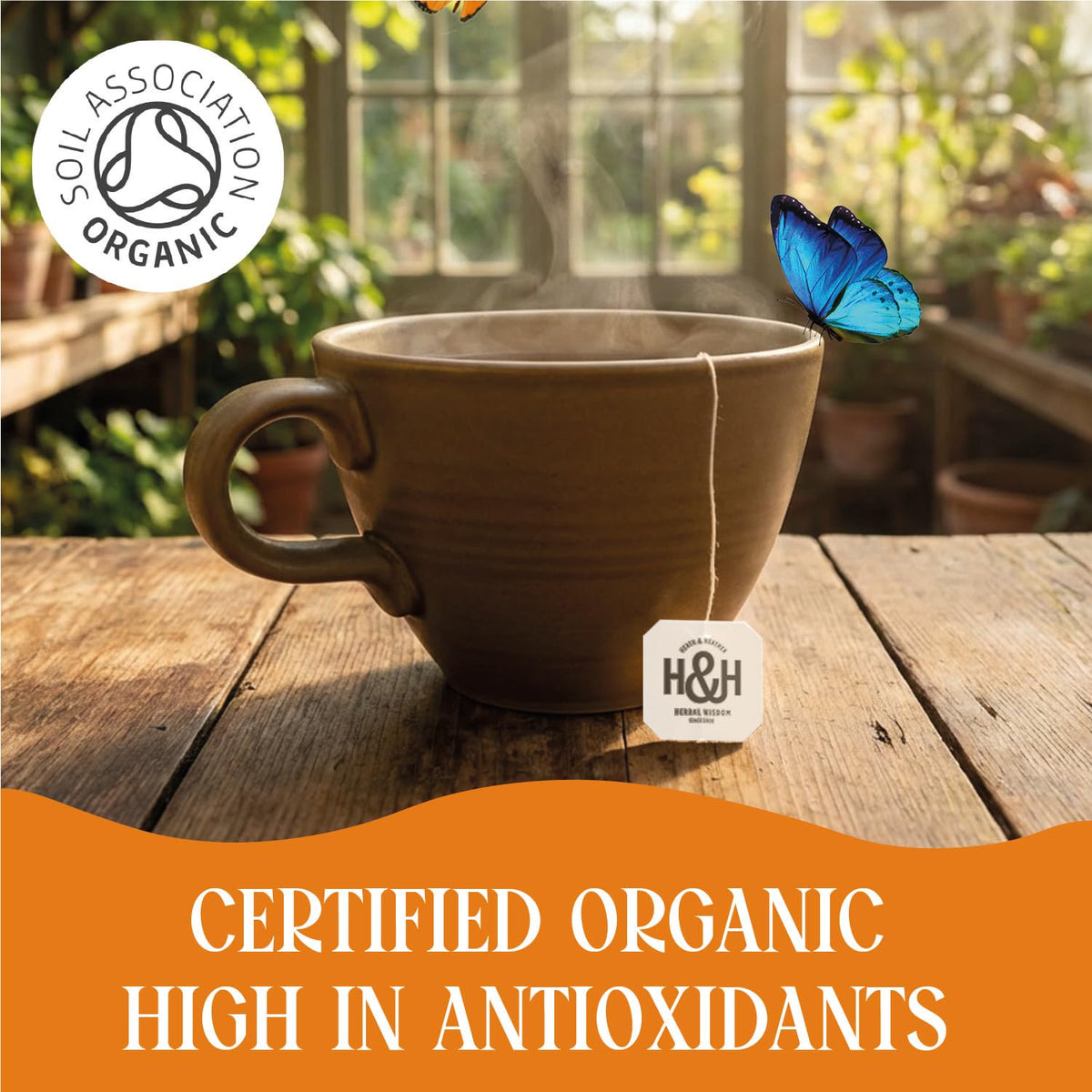 Heath & Heather Organic Lemon & Ginger Herbal Tea - Digestive & Immune Support | 120 Tea Bags | Caffeine-Free 5