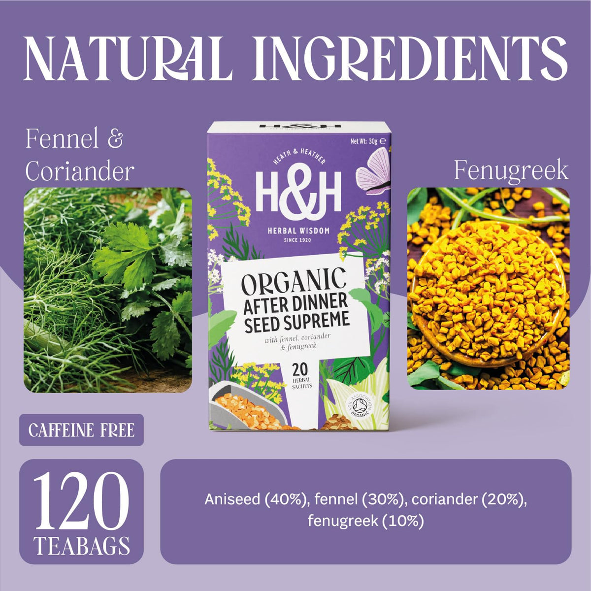Heath & Heather Organic After Dinner Seed Supreme Herbal Tea - Supports Digestion | 120 Teabags | Caffeine-Free