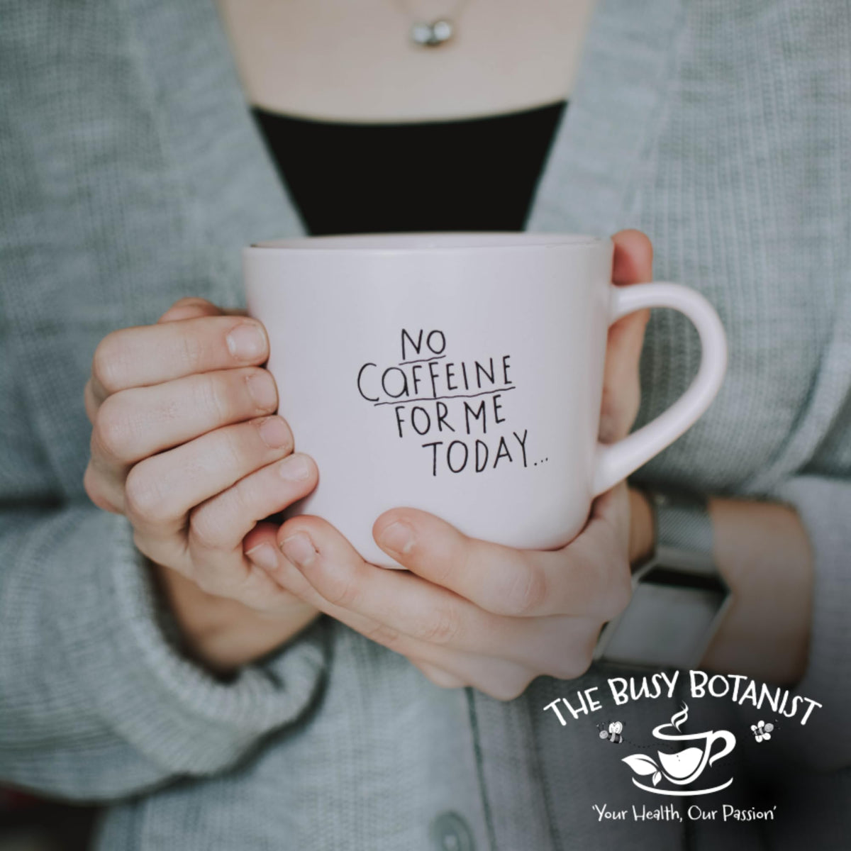 The Busy Botanist Aqua Balance Herbal Tea - Caffeine Free, 30 Count Biodegradable Tea Bags 6