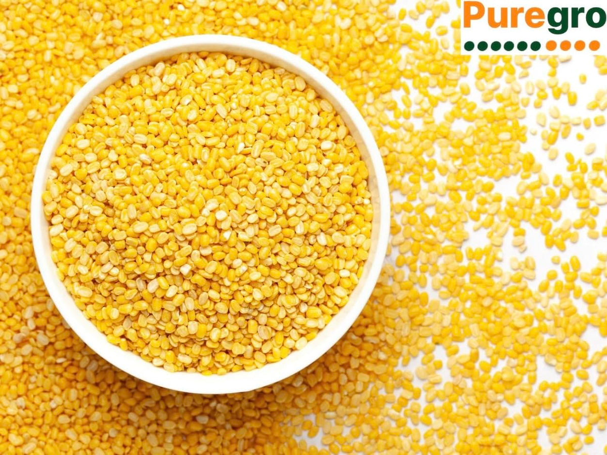 Puregro Yellow Moong Dal - Split & Hulled Lentils | 500g | Rich in Potassium & Iron 4