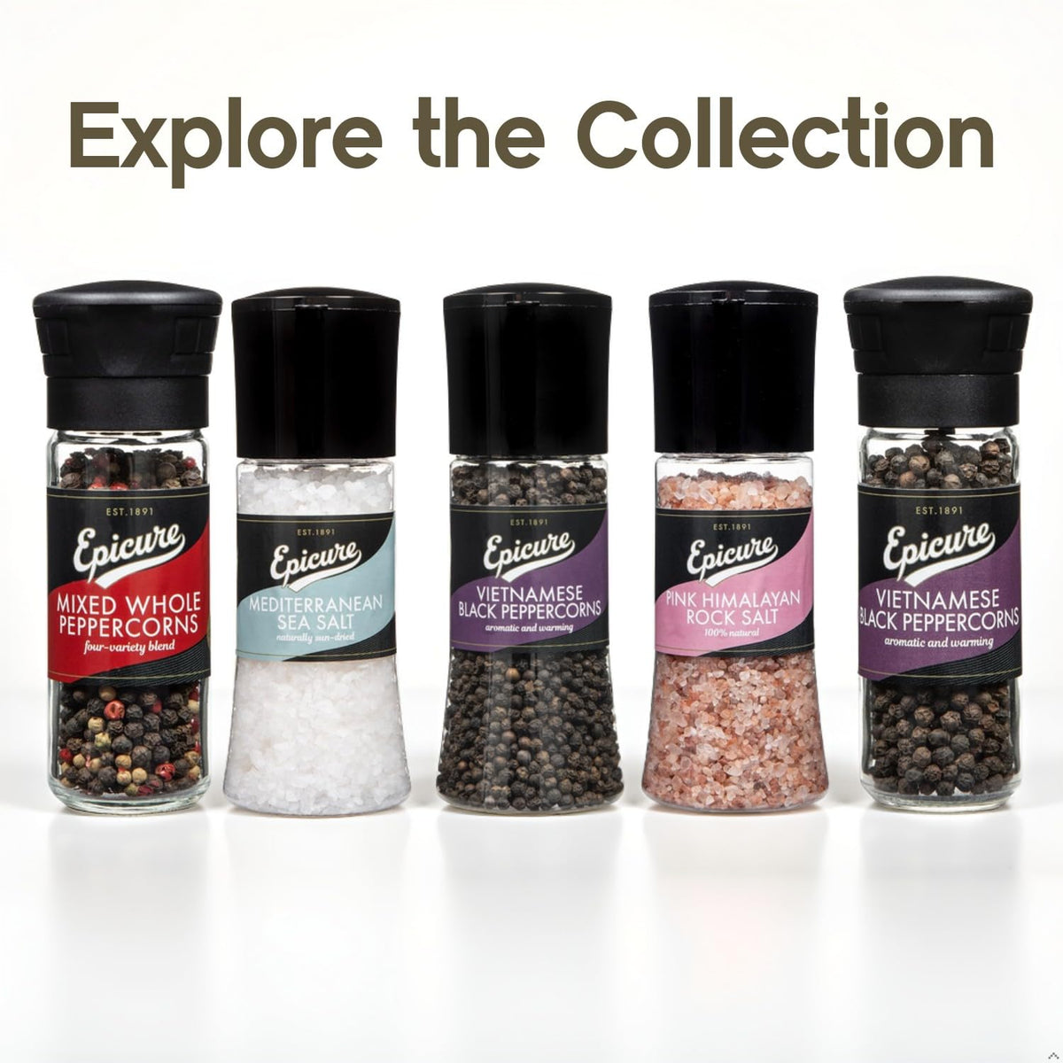 Epicure Vietnamese Black Peppercorns - Freshly Ground Seasoning Grinder | 145g | Whole Peppercorns 7