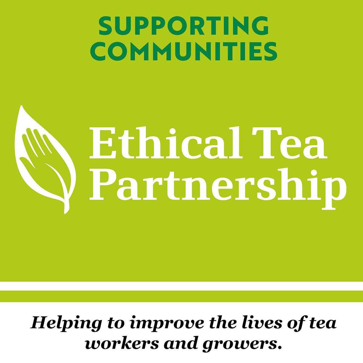 PG Tips Original Black Tea Bags - Pack of 200 | Rainforest Alliance Certified 6