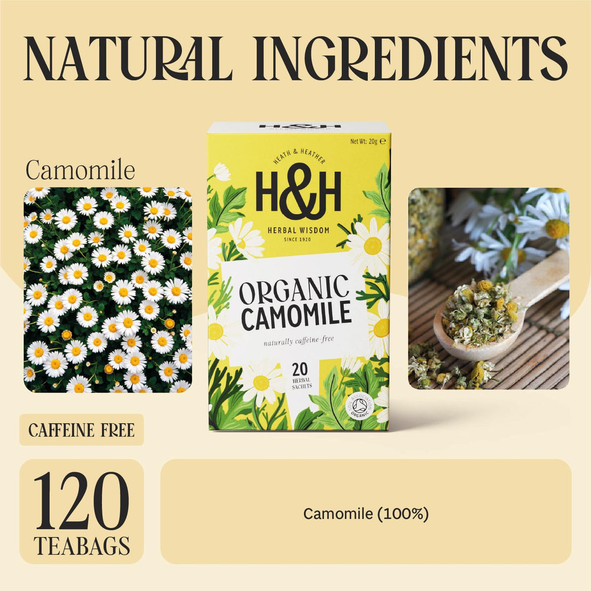 Heath & Heather Organic Camomile Tea - Calming & Digestive Support | 20 Count (Pack of 6) | Herbal Tea