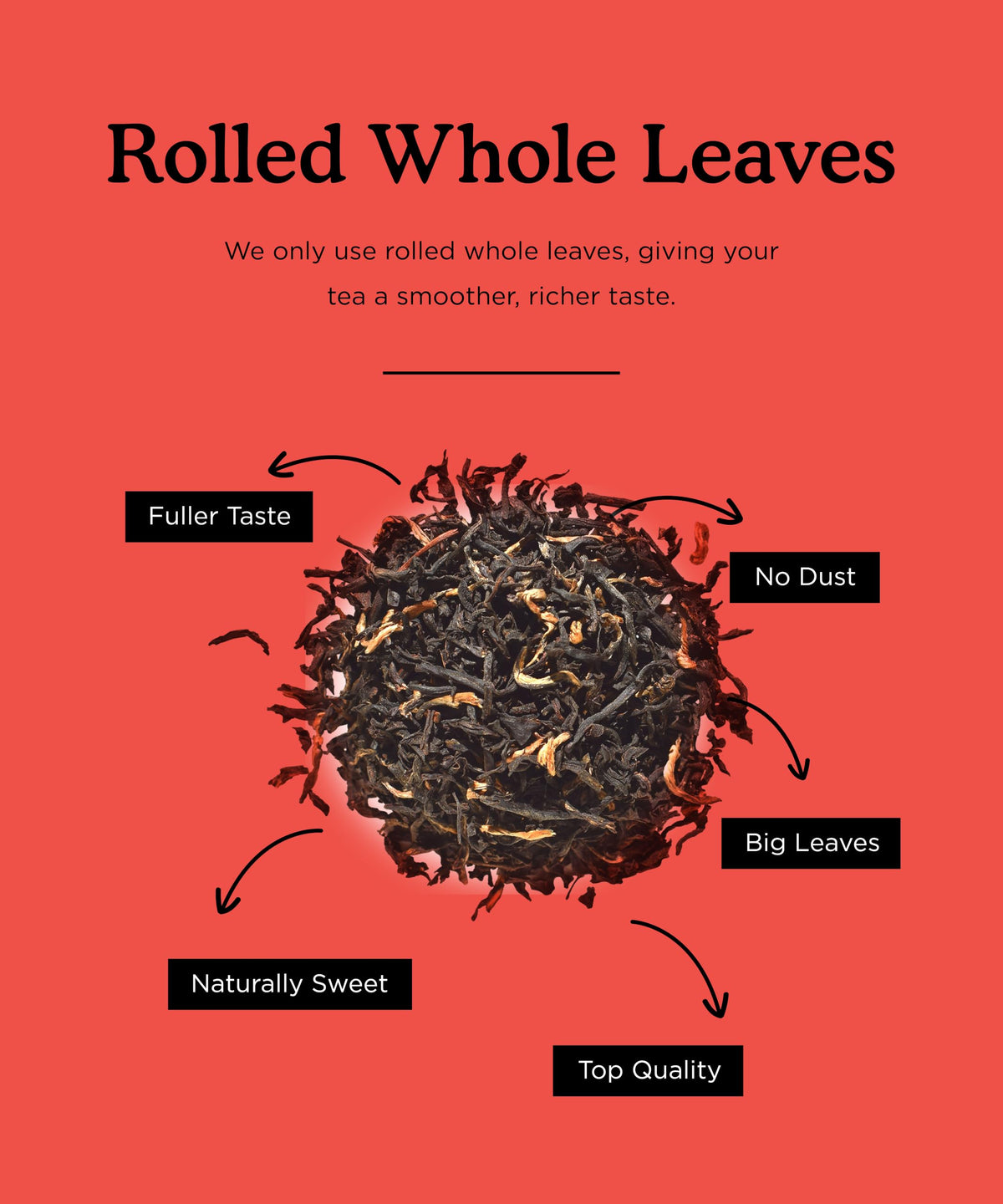 Brew Tea Co Assam Black Tea - Bold & Rich Flavour | 15 Tea Bags 5