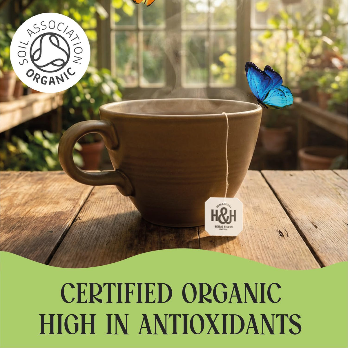 Heath & Heather Organic Green Tea with Manuka Honey - Antioxidant Rich, Immune Support, Supports Digestion & Metabolism | 20 Count Teabags 5
