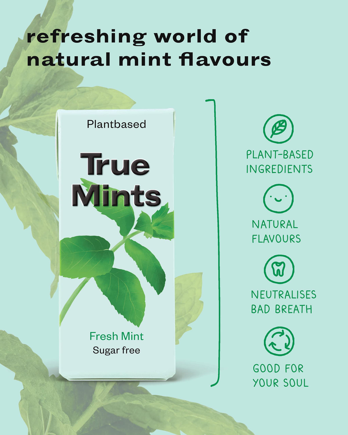 True Gum Sugar Free Mints - Xylitol Mint Flavour Pastilles | 12-Pack 4