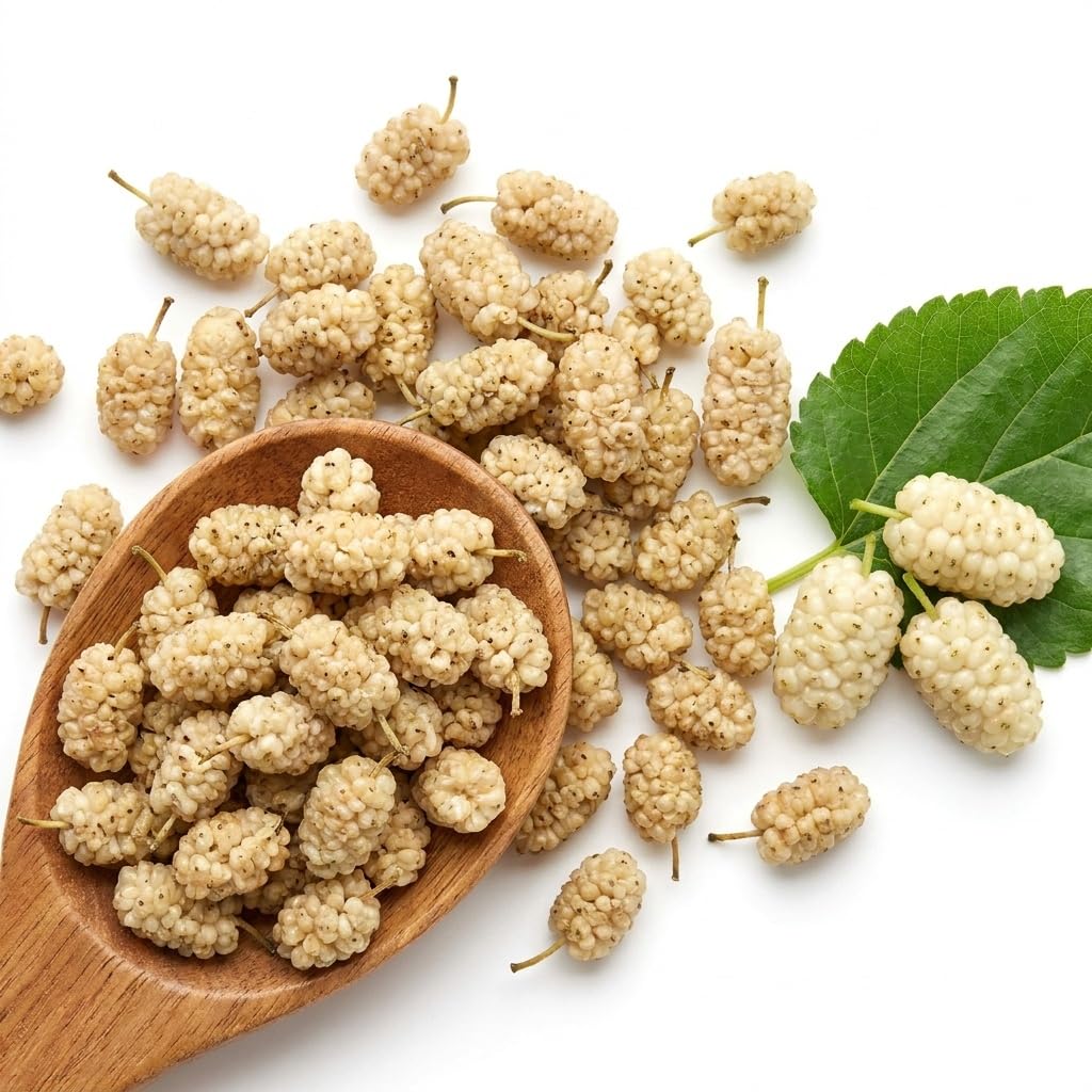 Wholefood Earth Organic Dried White Mulberries - 500g | Raw | Sundried 5