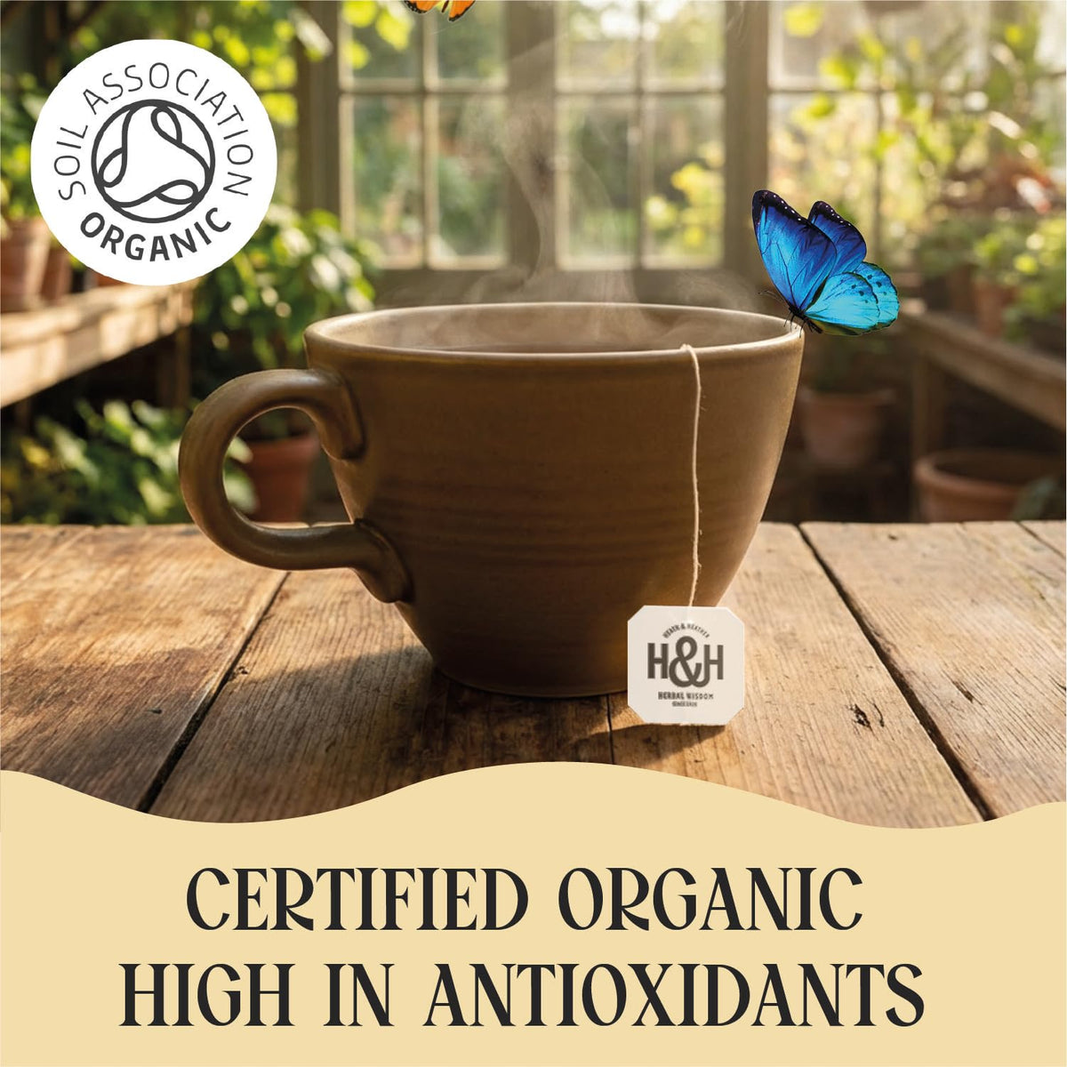 Heath & Heather Organic Camomile Tea - Promotes Relaxation & Supports Digestion | 20 Count 5