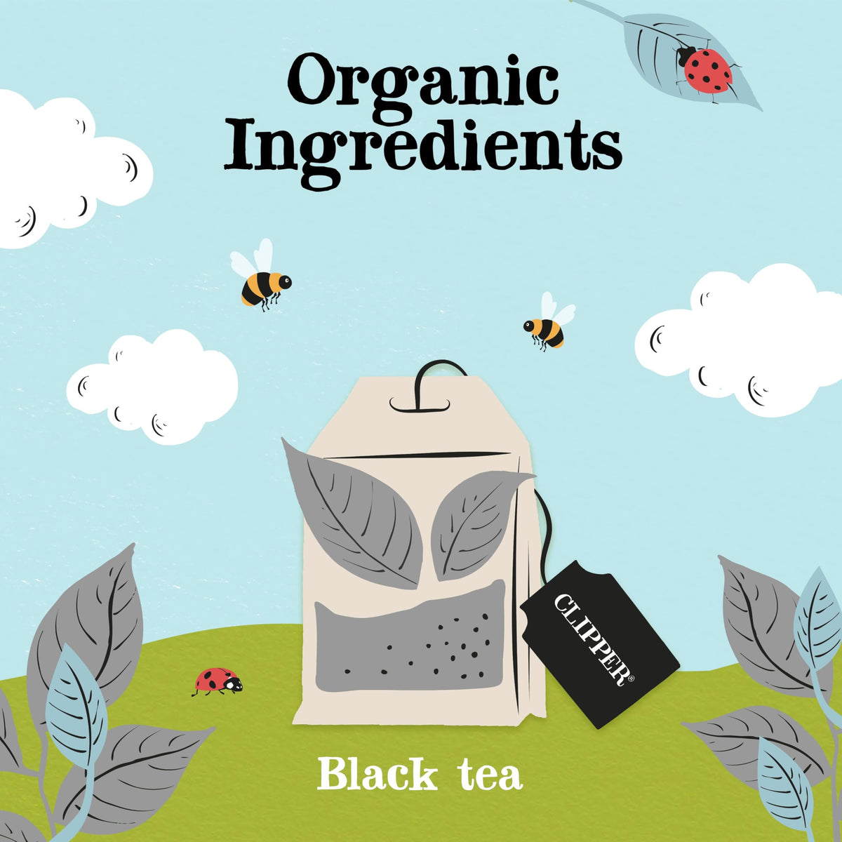 Clipper Organic Earl Grey Tea Bags - 40 Count Pack of 4 | Fairtrade, Biodegradable 3