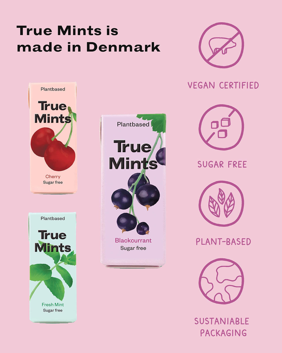 True Gum Blackcurrant Mints - Sugar Free, Xylitol Sweetened | 12-Pack 5