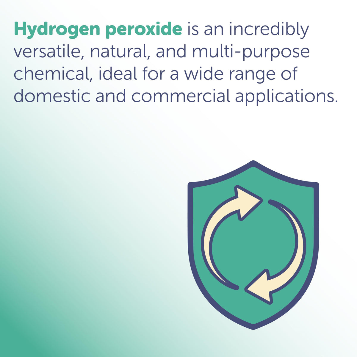 HandsOnCare Hydrogen Peroxide 3% All-Purpose Cleaner & Stain Remover - 500ml Liquid