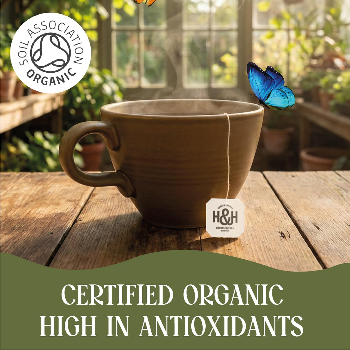 Heath & Heather Organic Green Tea with Ginger - Immunity Support | 20 Count Teabags | Gluten Free 5
