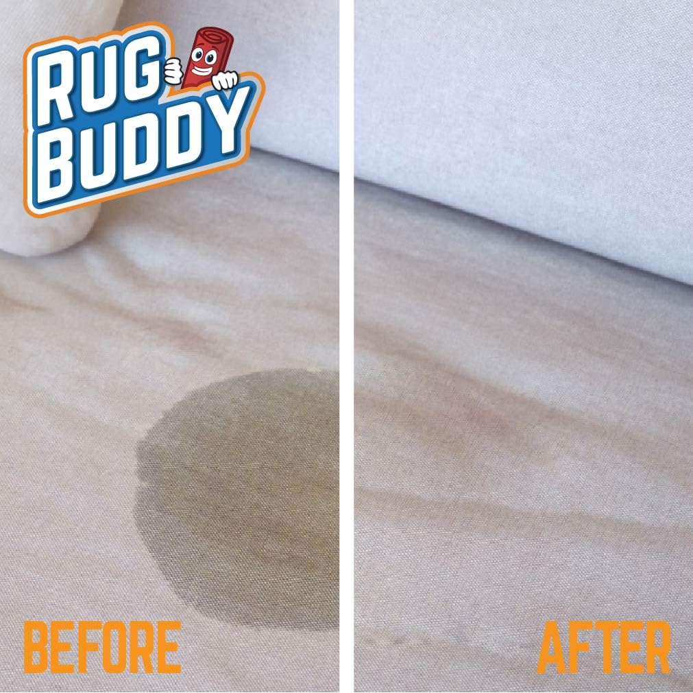 Rug Buddy Urine Eliminator - Enzyme-Based Stain & Odor Remover for Carpet & Upholstery | 500ml 3